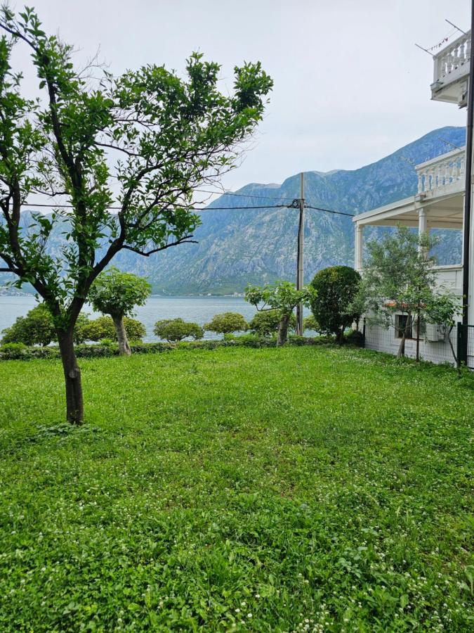 Apartments Popovic コトル エクステリア 写真