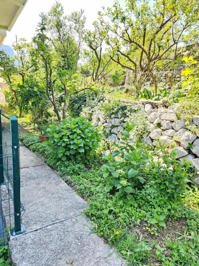 Apartments Popovic コトル エクステリア 写真