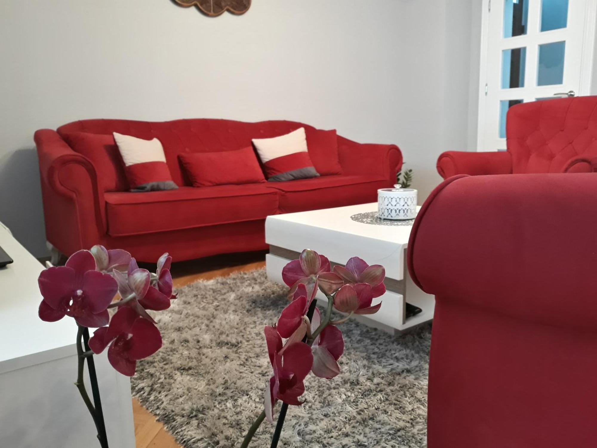 Apartments Popovic コトル エクステリア 写真