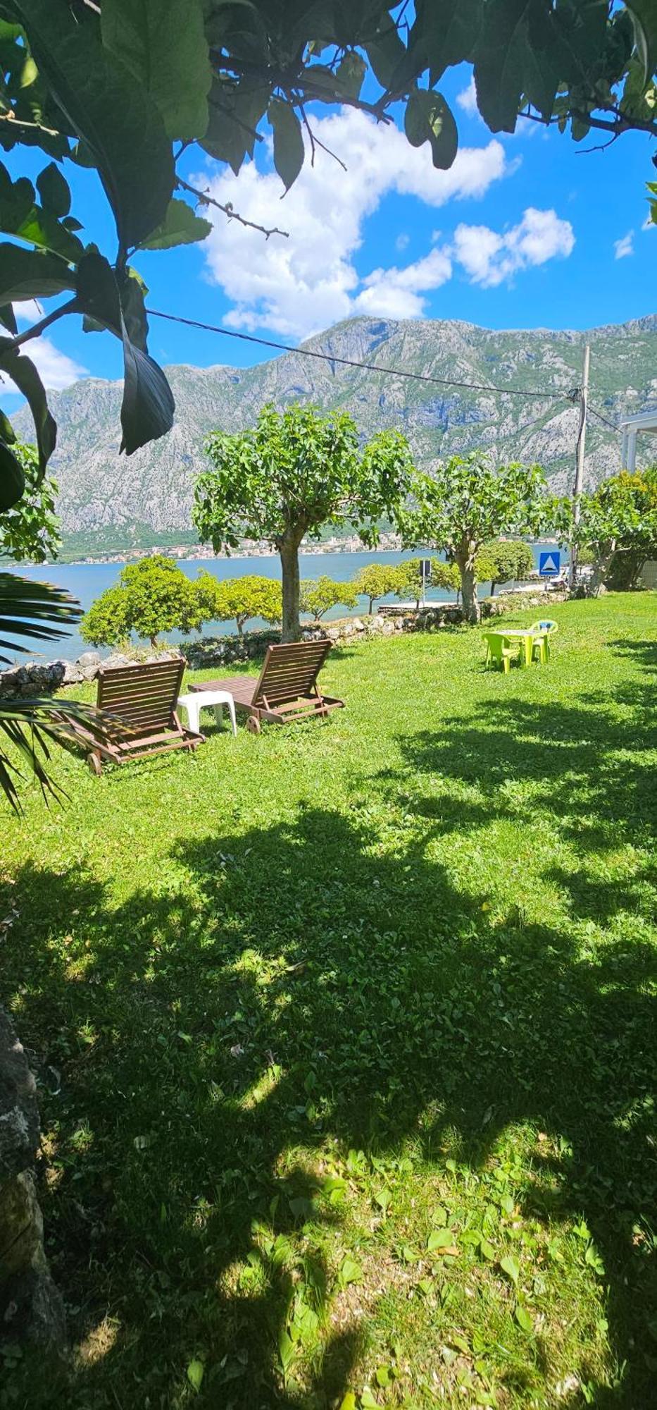 Apartments Popovic コトル エクステリア 写真